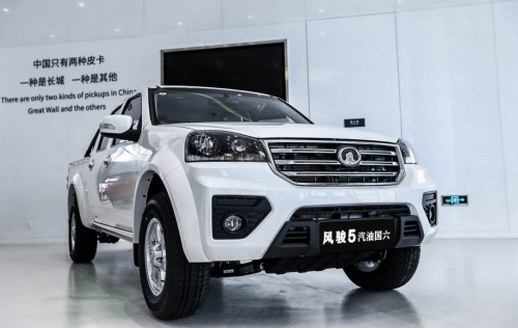 長城皮卡“民生車”助力脫貧攻堅戰