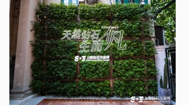 天然鉆石市場回暖：稀缺性、保值性與情感價值成投資新焦點